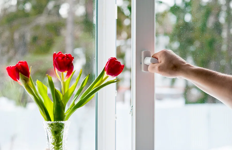 Tilt and turn window handle detail with tulips